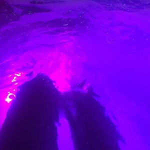 x77论坛免费登录入口
