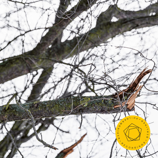 x77论坛免费登录入口
